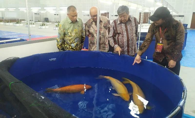 Pusat Pengemasan