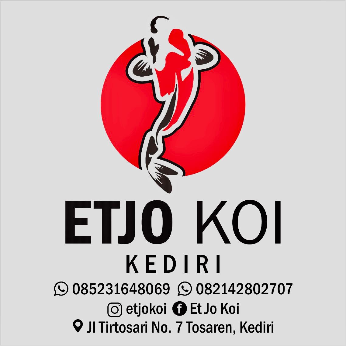 ETJO KOI FT FU NISHIKIGOI KEDIRI
